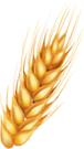 revslider_h9_shape_barley-5