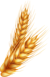 revslider_h9_shape_barley-6